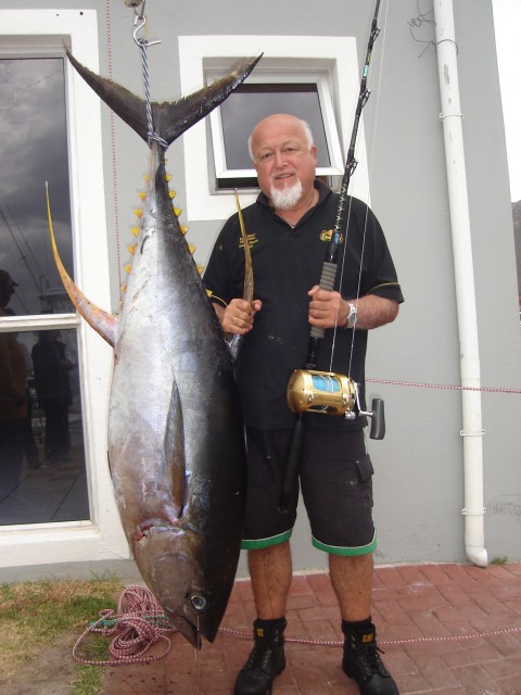 Large Yellowfin Tuna